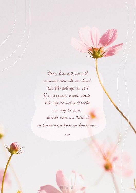 Poster A4 Heer, leer mij uw wil