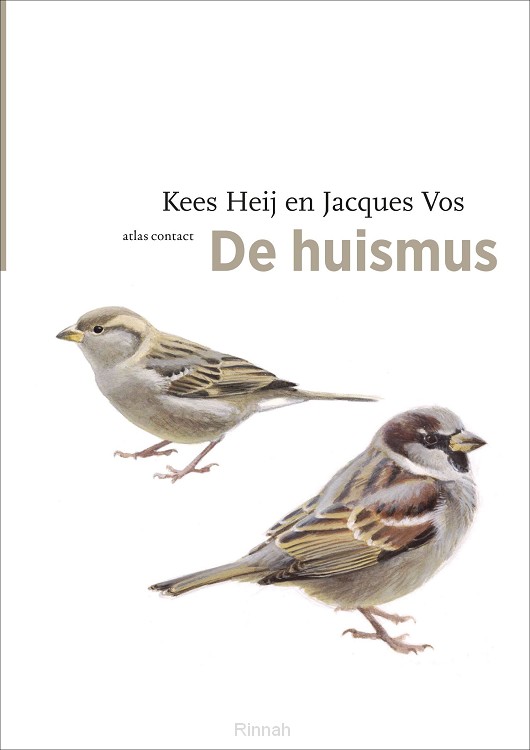 De huismus
