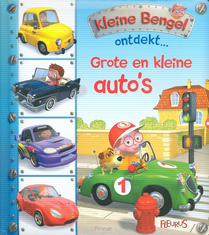 Grote en kleine autos