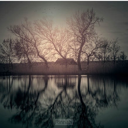 Kaart huis riet blanco