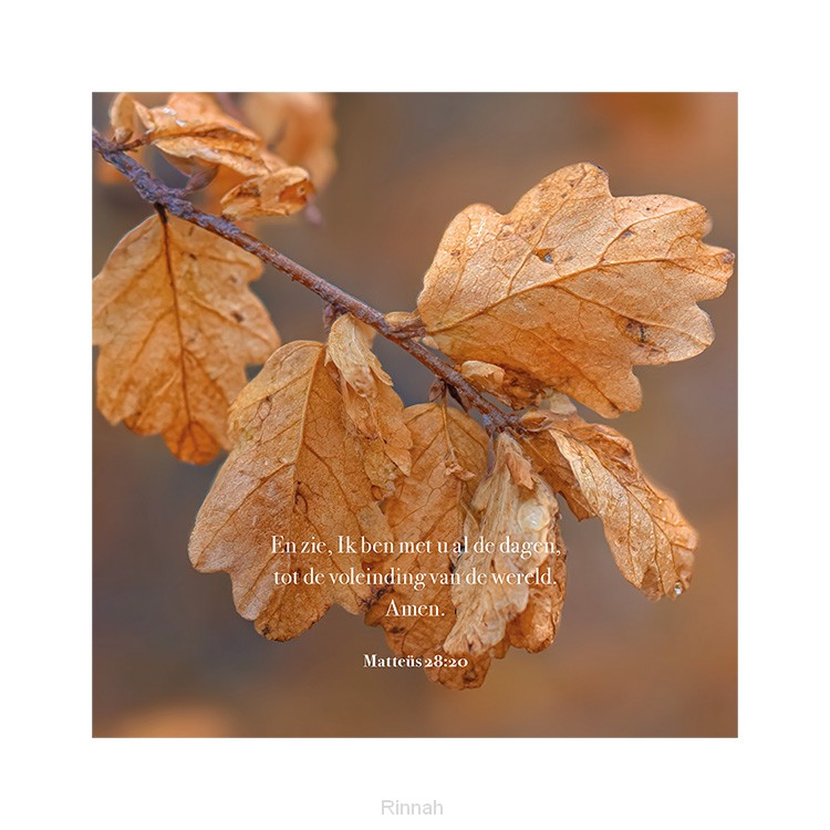 Kaart Herfstblad Matteüs 28:20