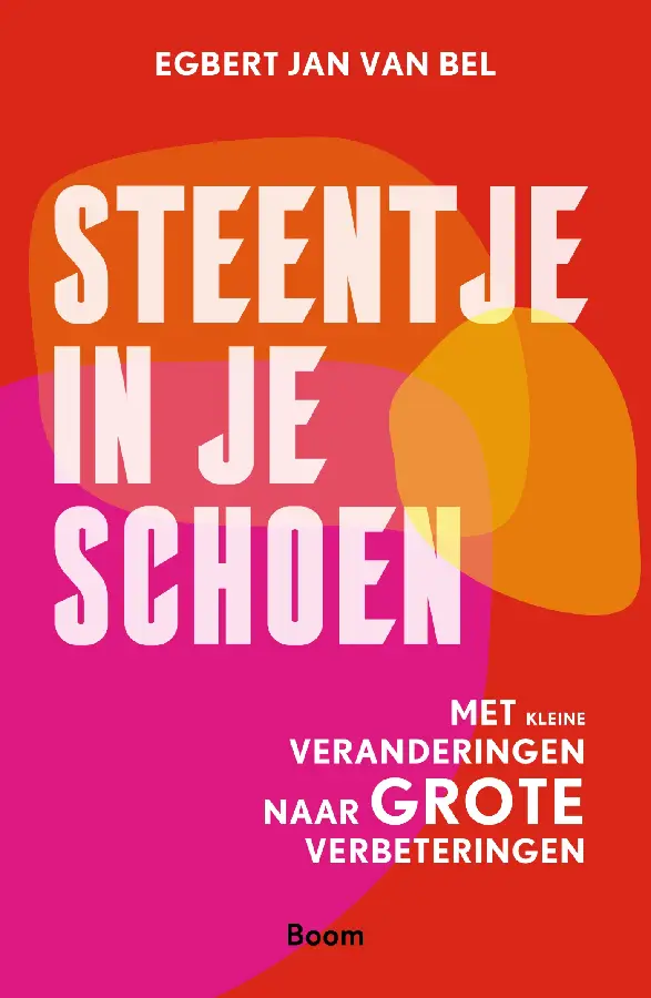Steentje in je schoen