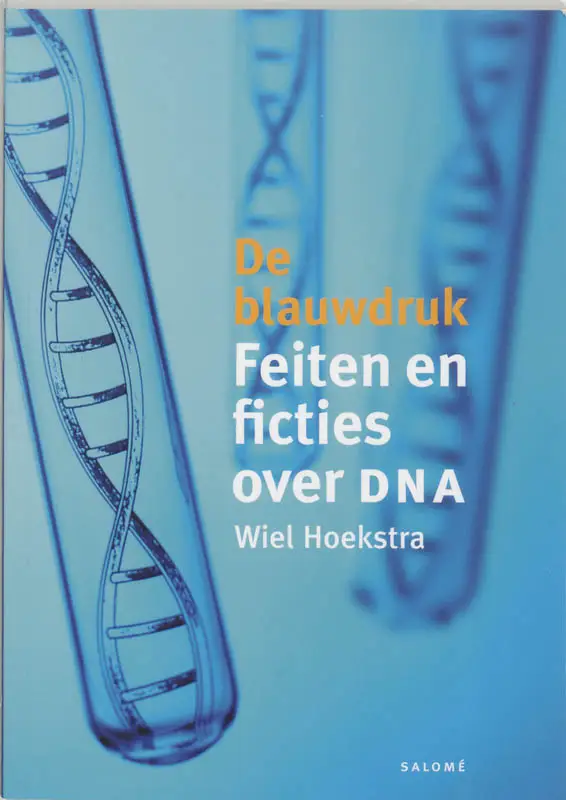 De blauwdruk