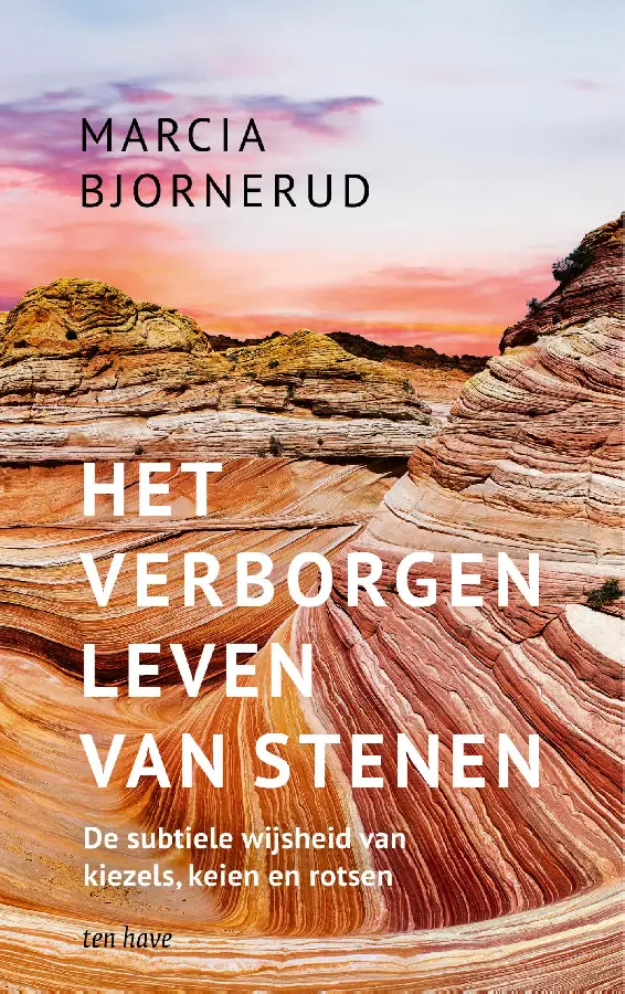 Het verborgen leven van stenen