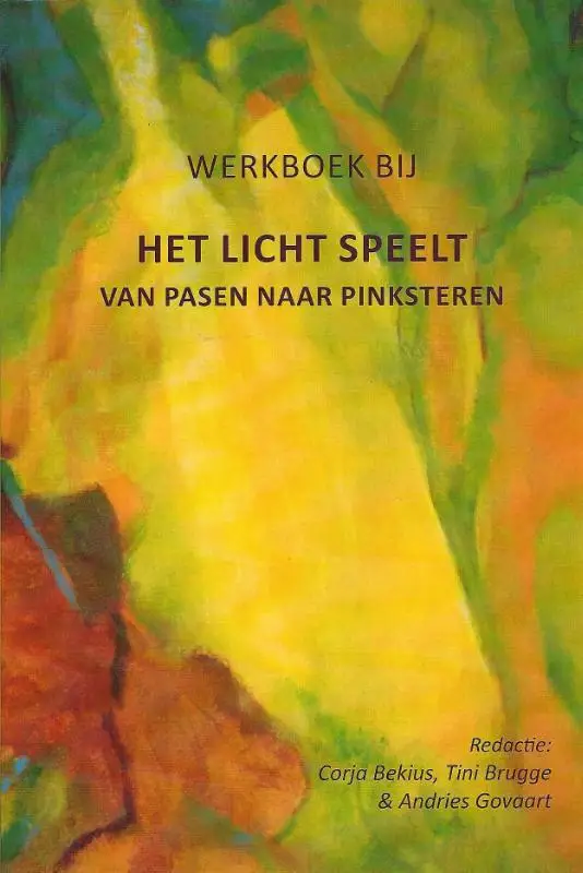 Licht speelt (werkboek + CD-Rom)