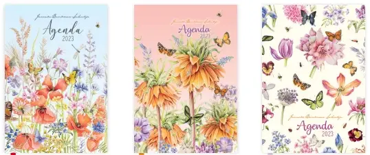 Janneke Brinkman Zakagenda zondag