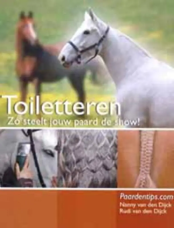 Toiletteren