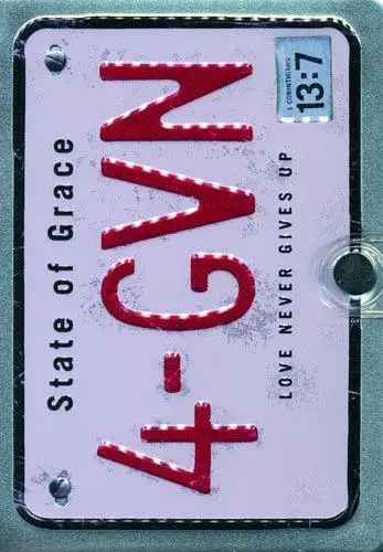 NLT2 - Metal Bible 4-gvn cover