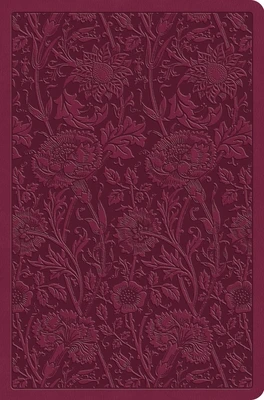 ESV - Value Compact Bible
