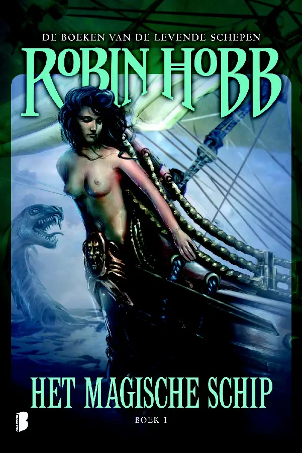 Het magische schip