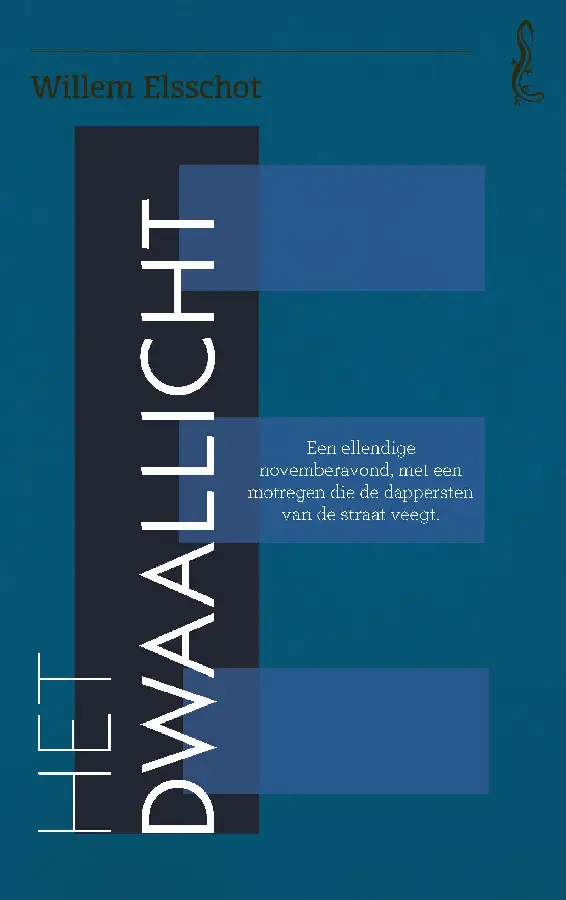 Dwaallicht