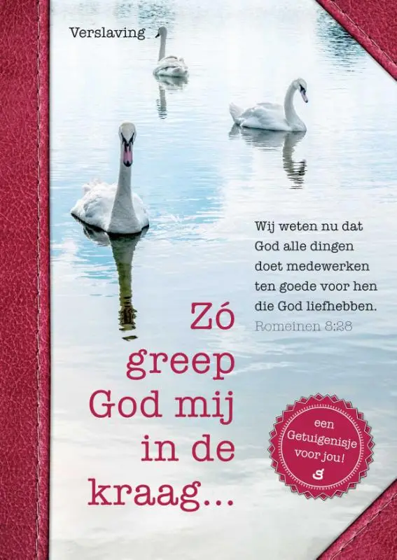 Zo greep God mij in de kraag...