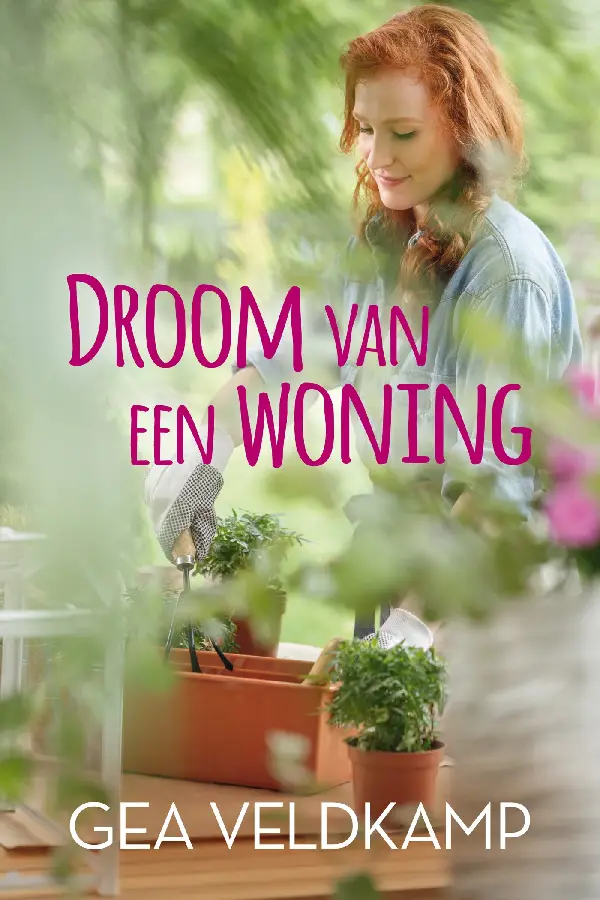 Droom van een woning