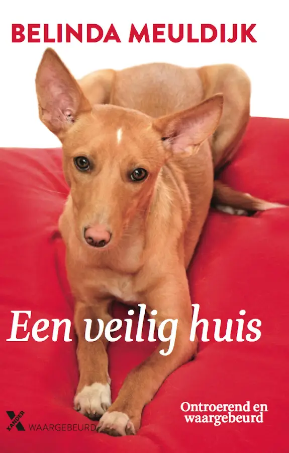 Een veilig huis