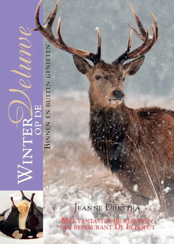 Winter op de veluwe