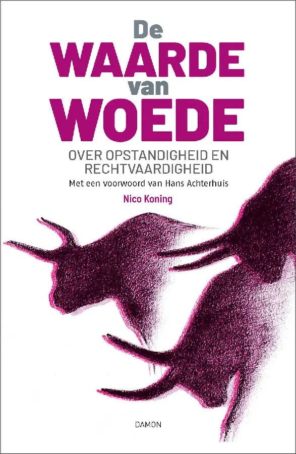 Waarde van woede