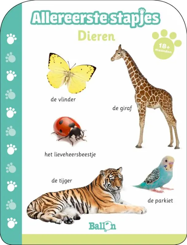 Dieren 18+