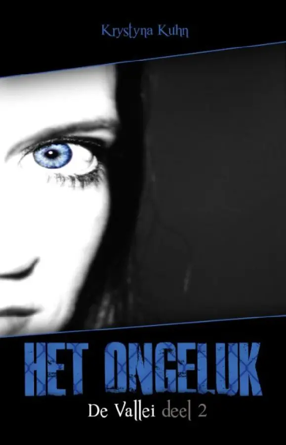 De vallei 2 - Het ongeluk