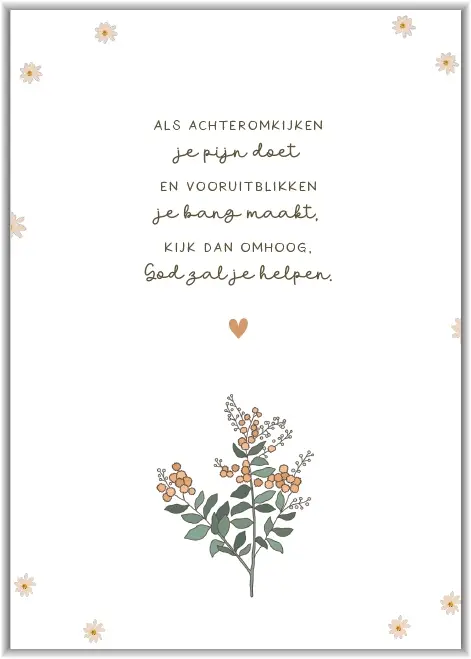 Als achteromkijken...