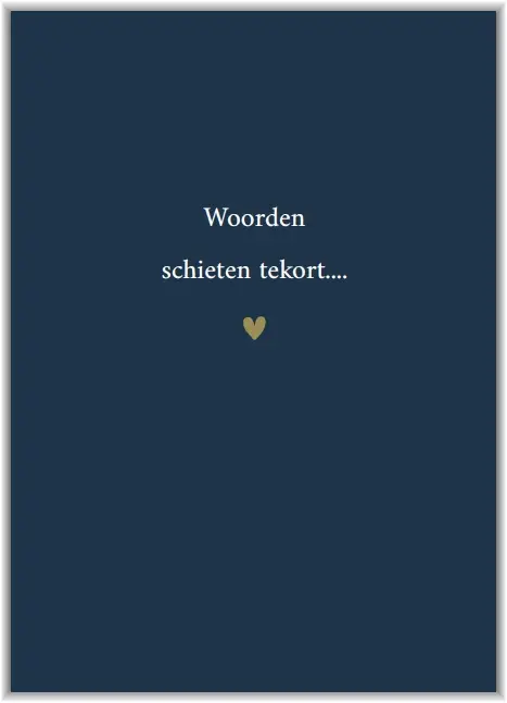 Woorden schieten tekort