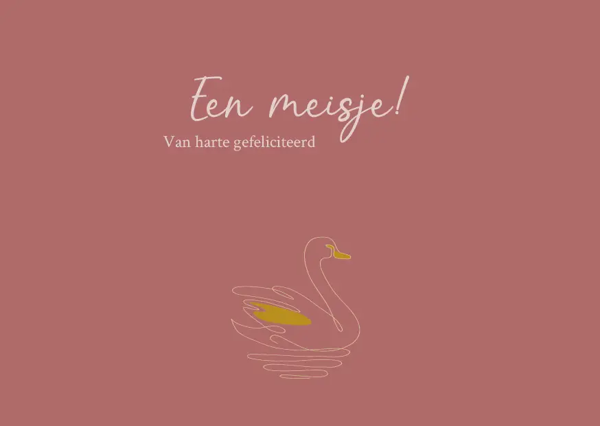 Een meisje! Gefeliciteerd
