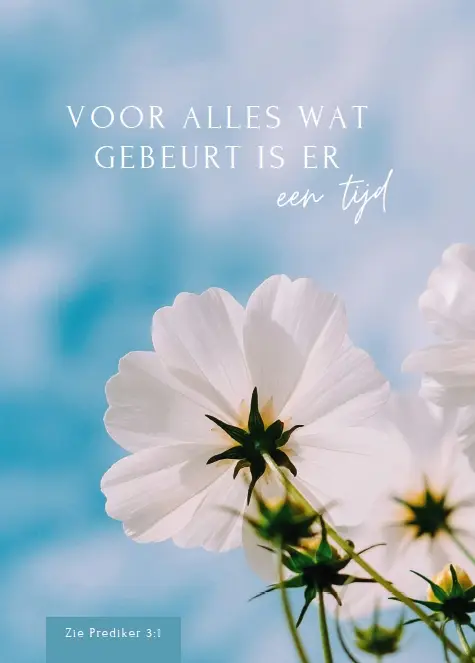 Voor alles wat gebeurt