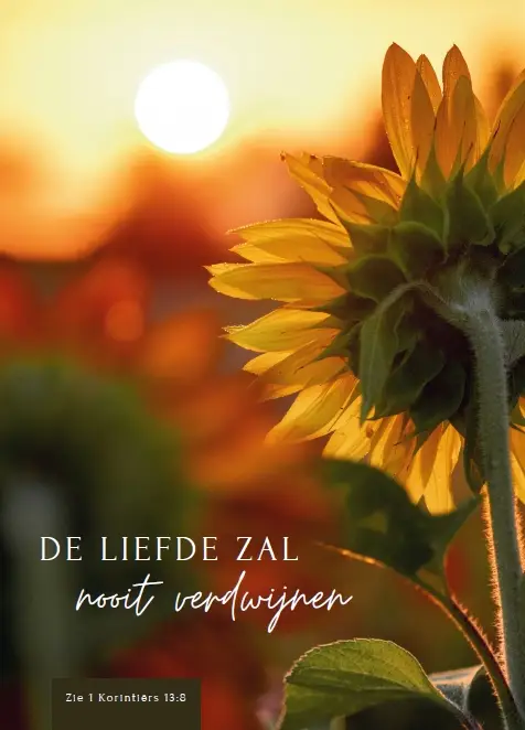 De Liefde zal