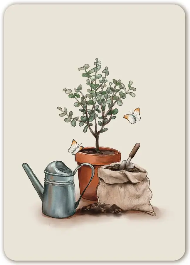 Blanco (zonder opdruk)