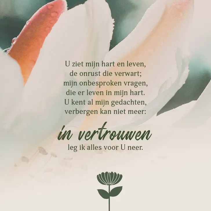 In vertrouwen leg ik alles voor u neer