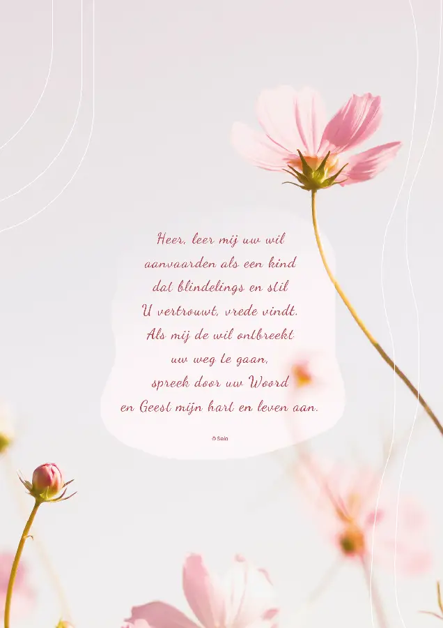 Poster A4 Heer, leer mij uw wil