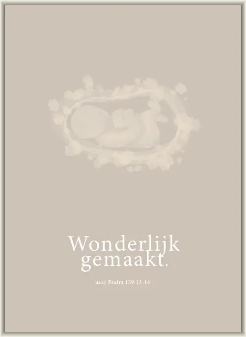 Wonderlijk gemaakt