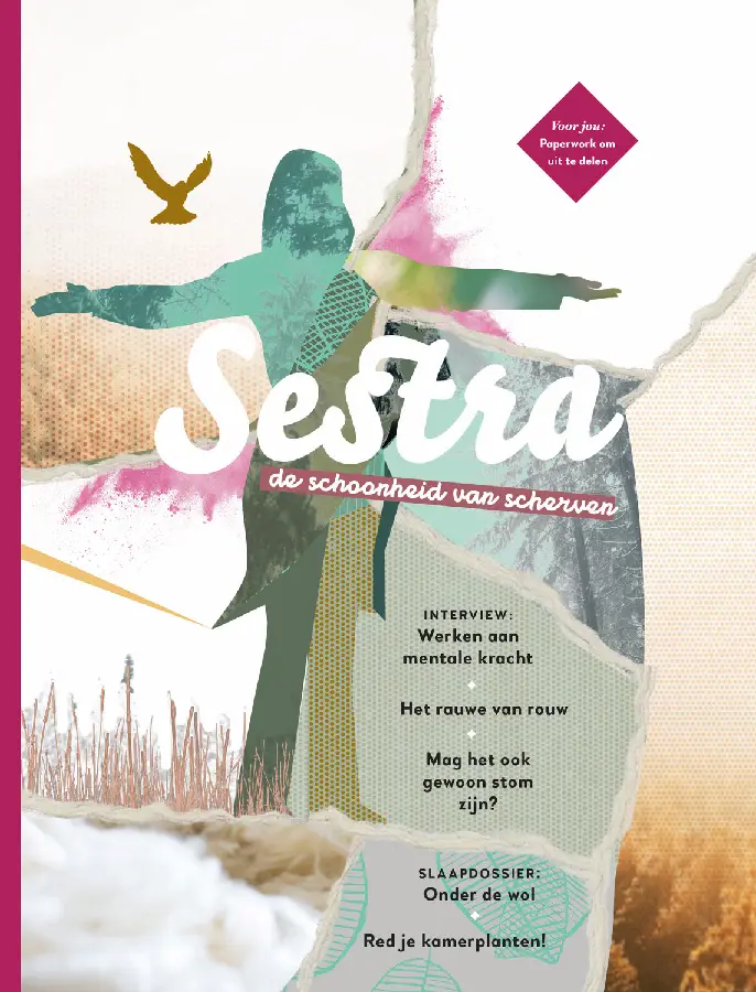 Sestra - De schoonheid van scherven