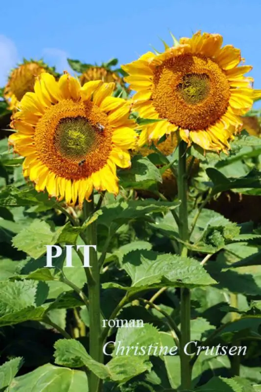 Pit