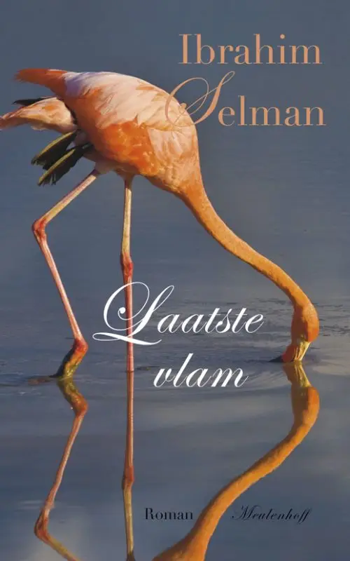 Laatste vlam