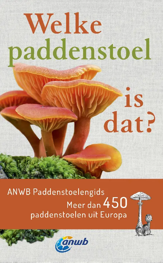 Welke paddenstoel is dat