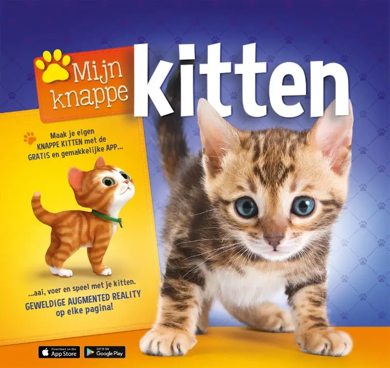 Mijn knappe kitten