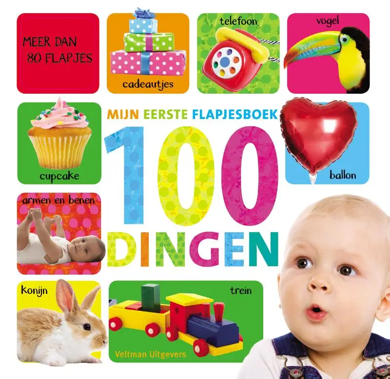 Mijn eerste flapjesboek 100 dingen