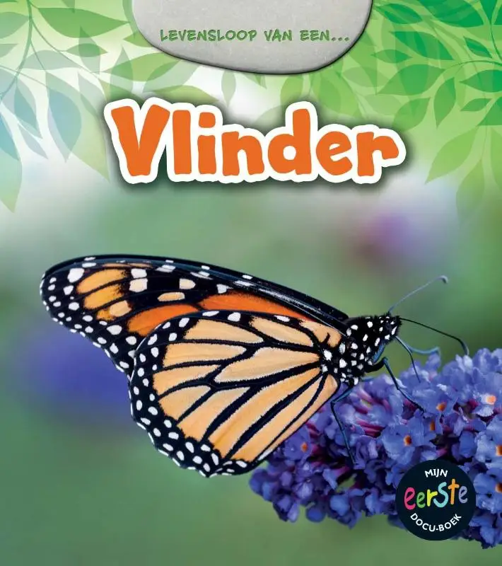 Vlinder