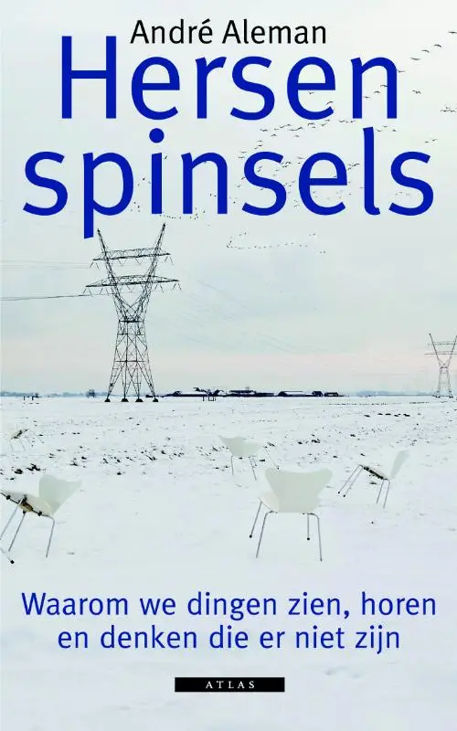 Hersenspinsels