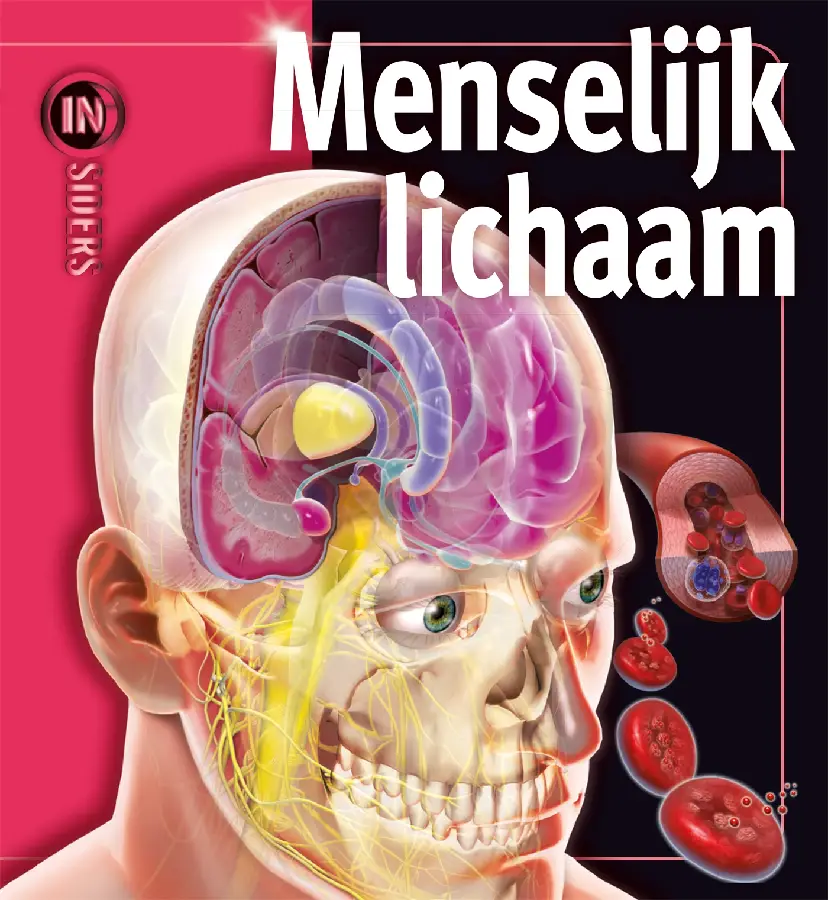 Menselijk lichaam
