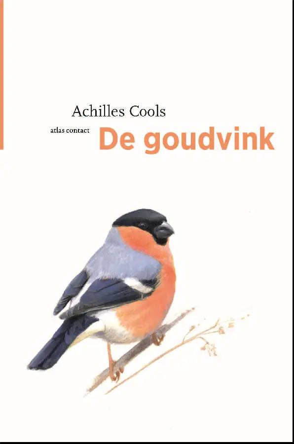 De goudvink