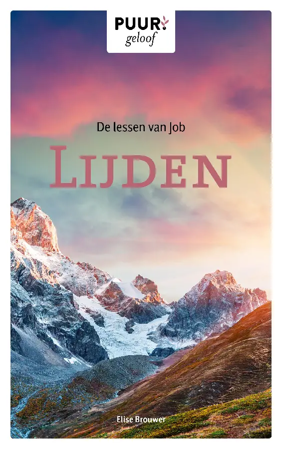 De lessen van Job