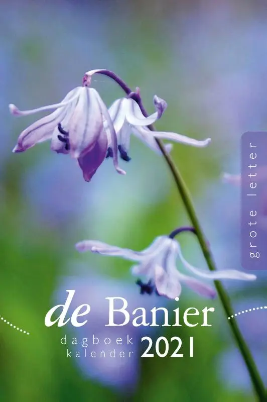 Banier 2021 GROTE L dagboekkalender