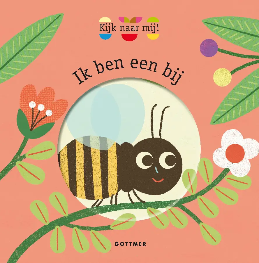 Ik ben een bij kartonboek