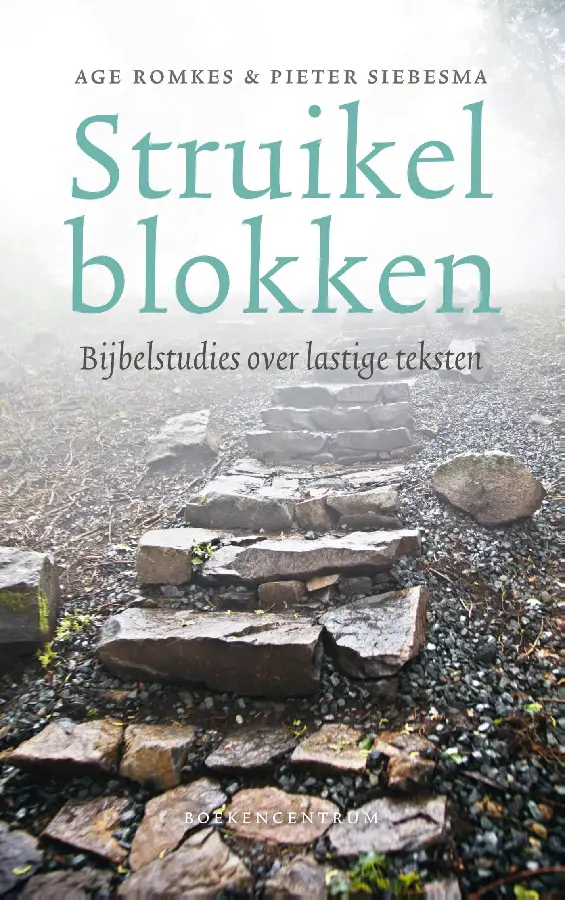 Bijbelstudies over lastige teksten