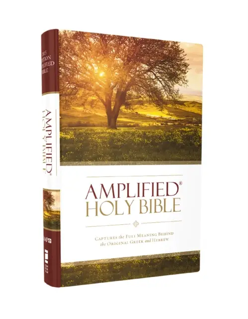 Amplified holy bible