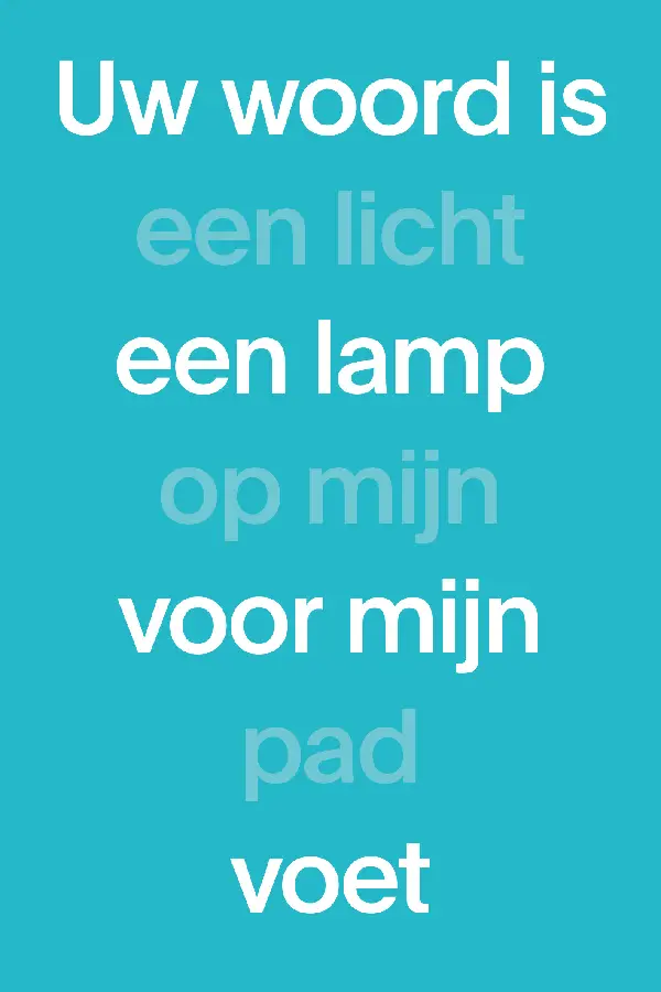 NBV21 Midsize Paperback (blauw)