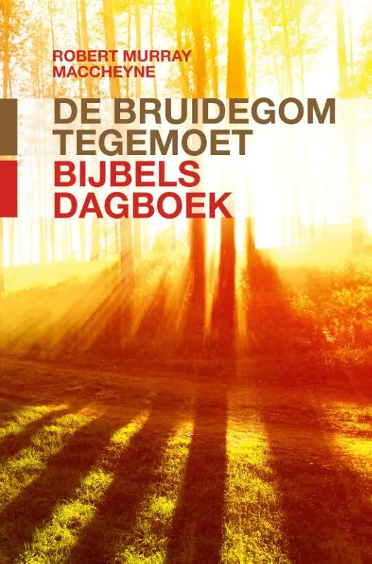 Bruidegom tegemoet